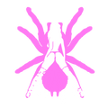 Spider Banner
