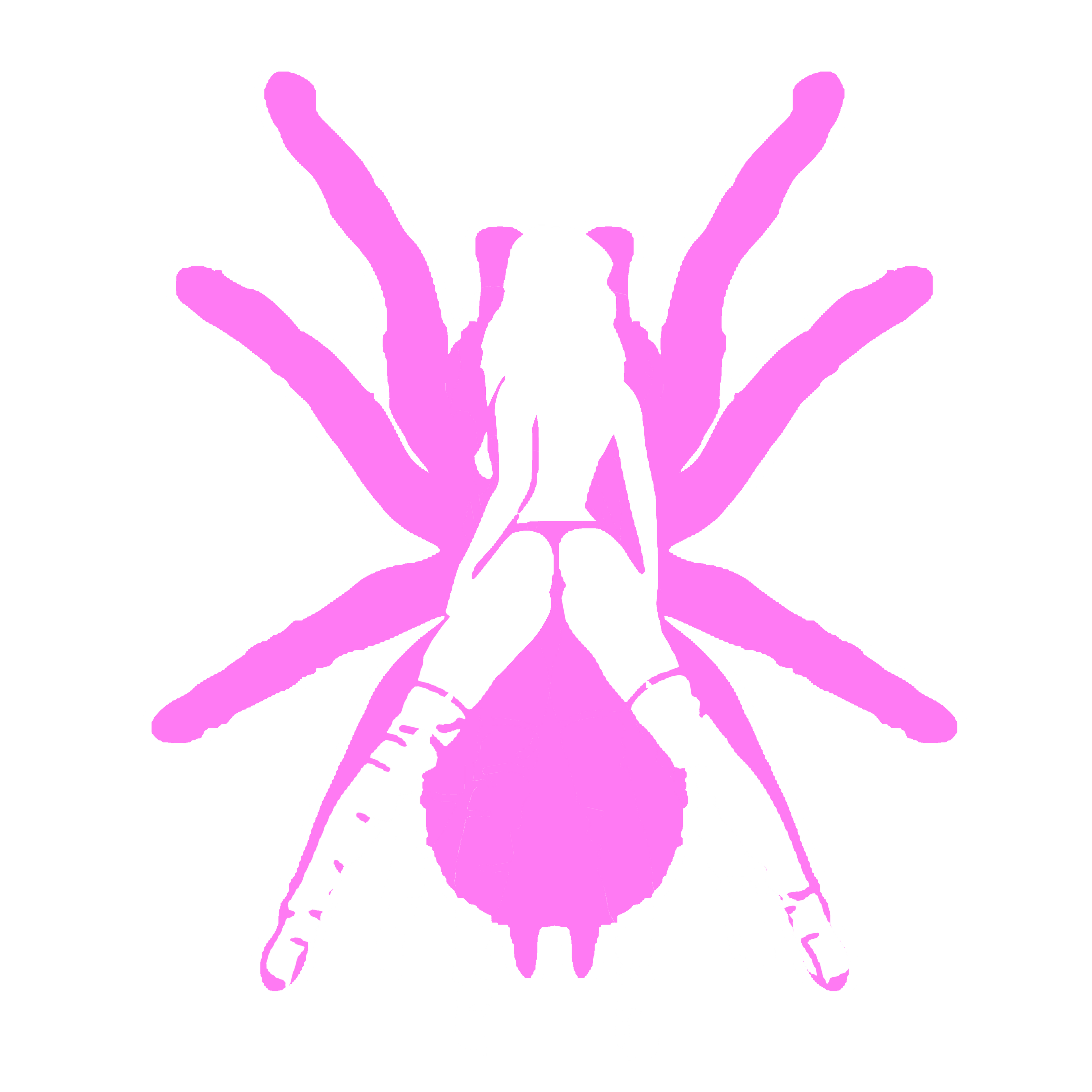 Spider Banner